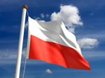 JEZYK POLSKI DLA PRACOWNIK&Oacute;W ANGLOJEZYCZNYCH